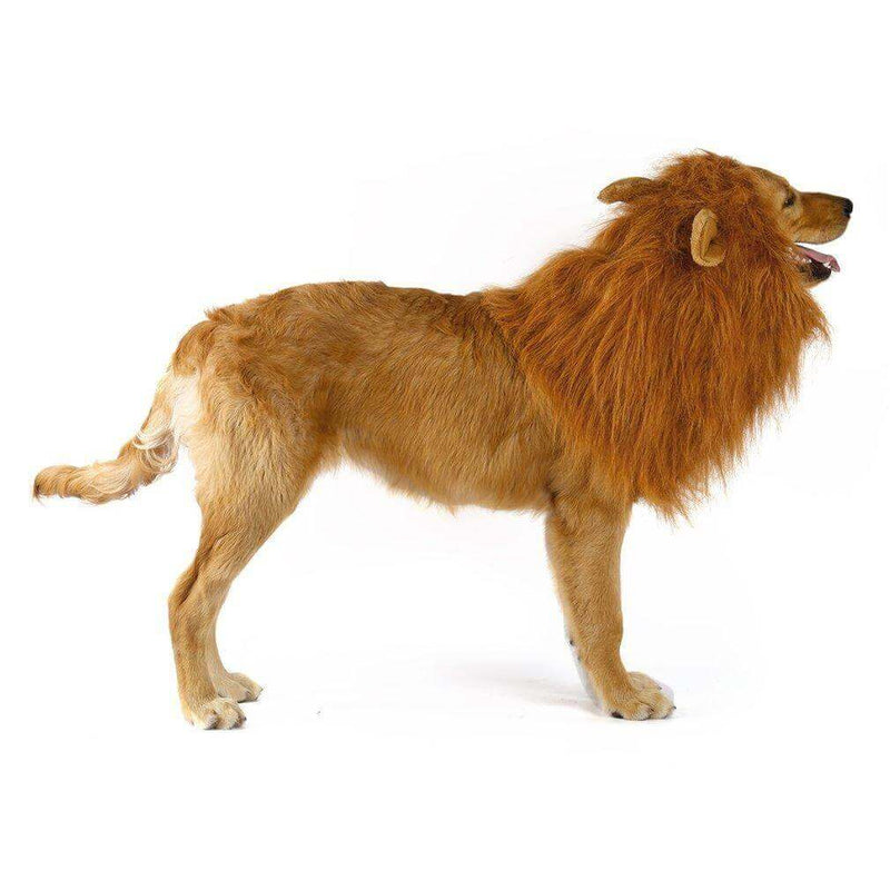 Lion Theme Dog Wig - Polyester - Faux Fur - Light Brown Color - Elastic Band - Light Weight - Comfortable Feel - Dog Wig